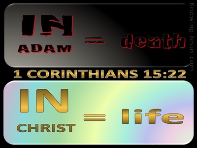 1 Corinthians 15:22 In Adam All Die, In Christ All Made Alive (gold)